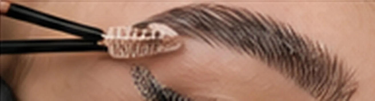 Geste technique en formation Browlift
