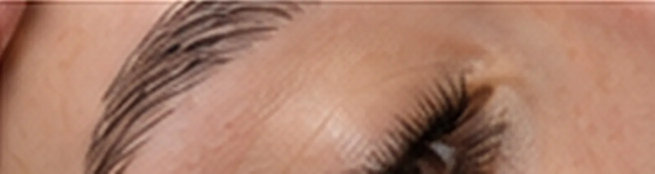 Geste technique en formation Lash Filler