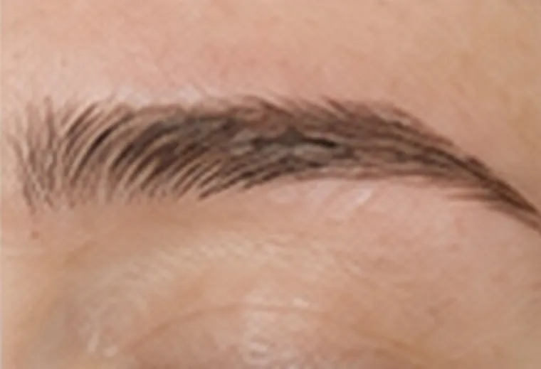 Sourcil dense et structuré, dégradé de pigmentation naturel